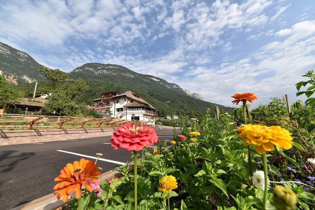 Steinegger Eppan Appiano Sulla Strada Del Vino