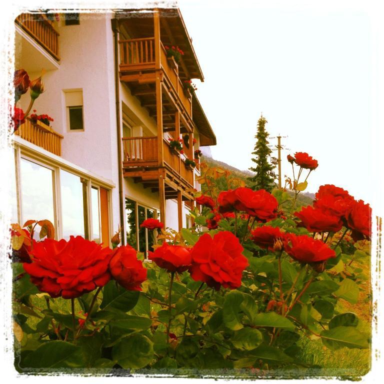 Steinegger Eppan 3*